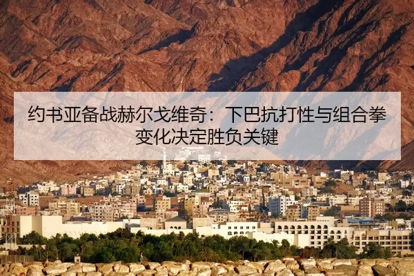 约书亚备战赫尔戈维奇：下巴抗打性与组合拳变化决定胜负关键
