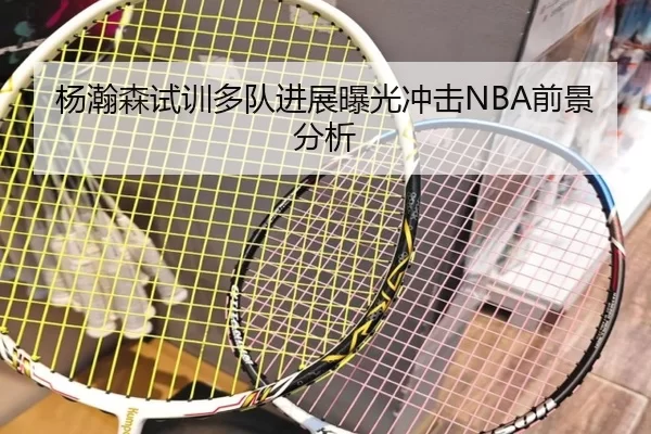杨瀚森试训多队进展曝光冲击NBA前景分析